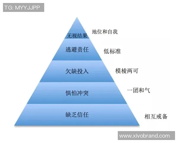 杭州篮球队在锦标赛中的团队协作表现分析与点评
