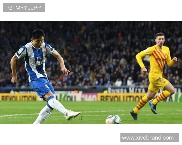 杭州排球队意识争议引发热议球迷与专家各抒己见探讨未来发展方向