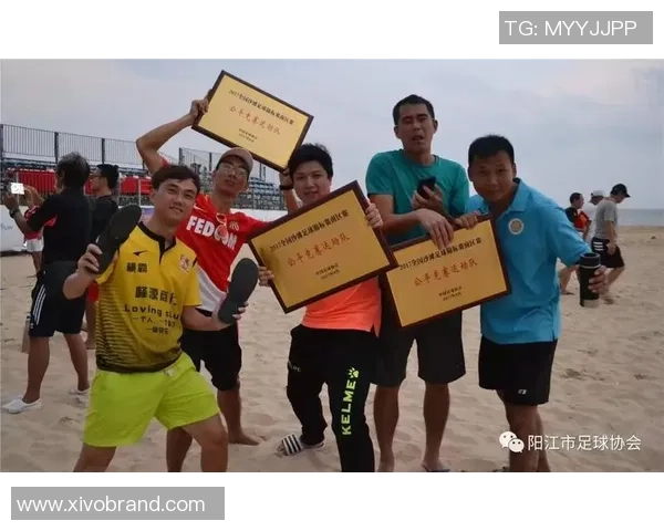 武汉足球队与杭州足球队耐力对决赛后深度分析与反思